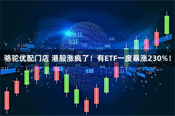 骆驼优配门店 港股涨疯了！有ETF一度暴涨230%！