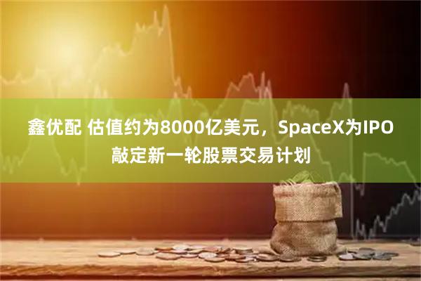 鑫优配 估值约为8000亿美元，SpaceX为IPO敲定新一轮股票交易计划