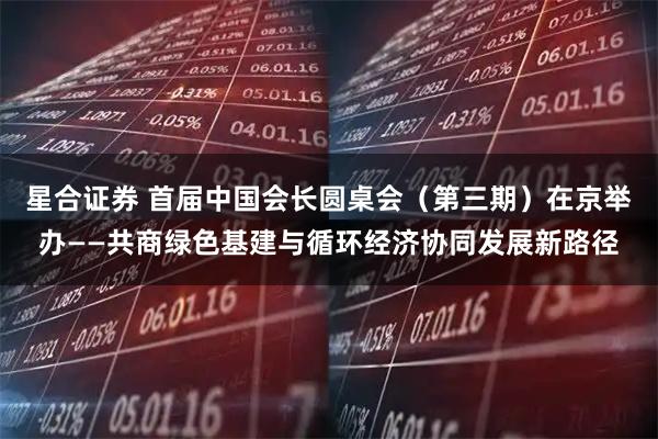 星合证券 首届中国会长圆桌会(第三期)在京举办——共商绿色基建与循环经济协同发展新路径