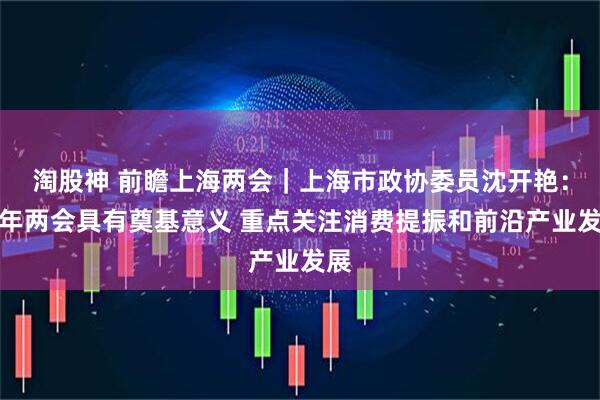 淘股神 前瞻上海两会｜上海市政协委员沈开艳：今年两会具有奠基意义 重点关注消费提振和前沿产业发展