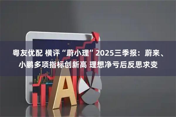 粤友优配 横评“蔚小理”2025三季报：蔚来、小鹏多项指标创新高 理想净亏后反思求变